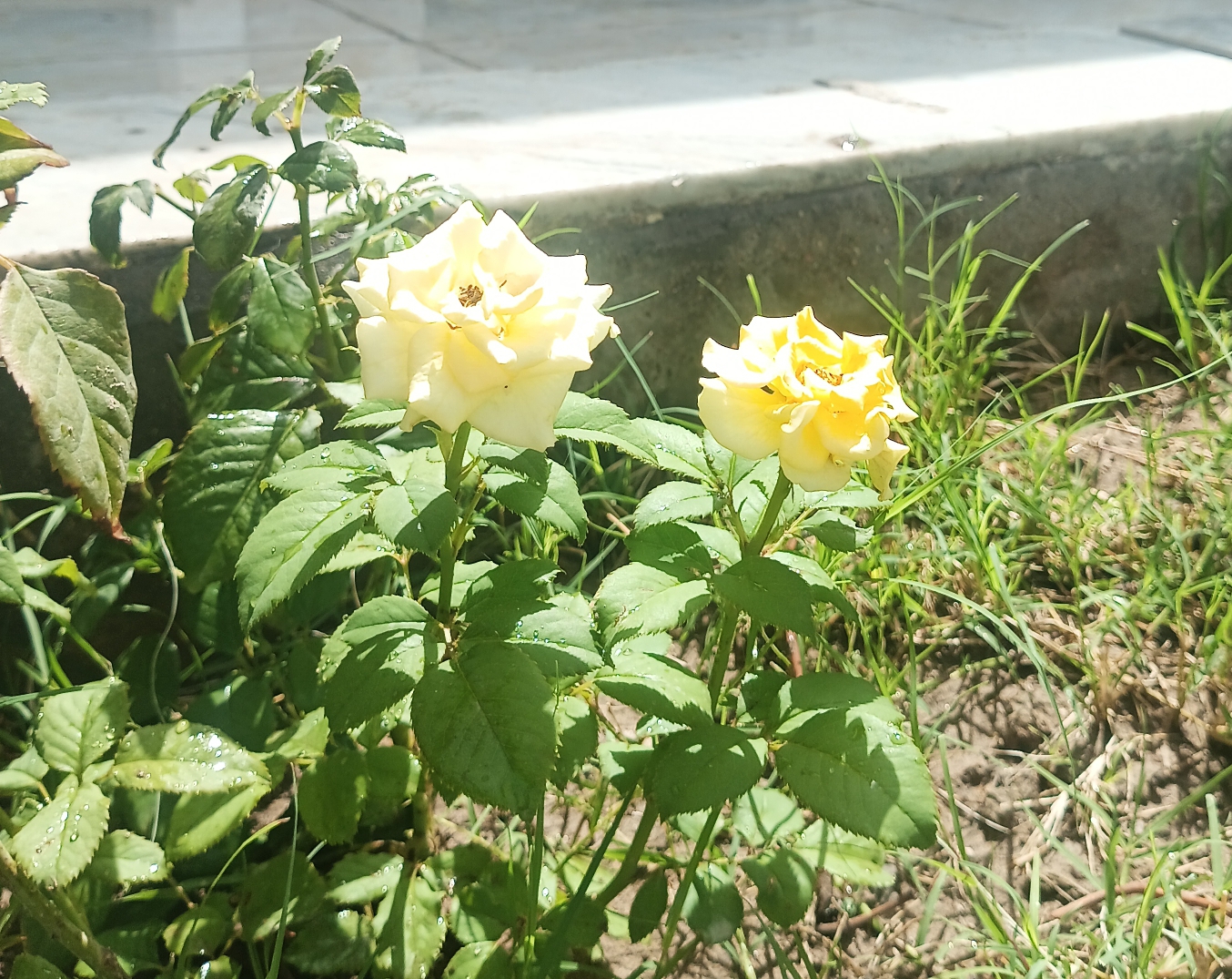 ���� ������_F2J2r