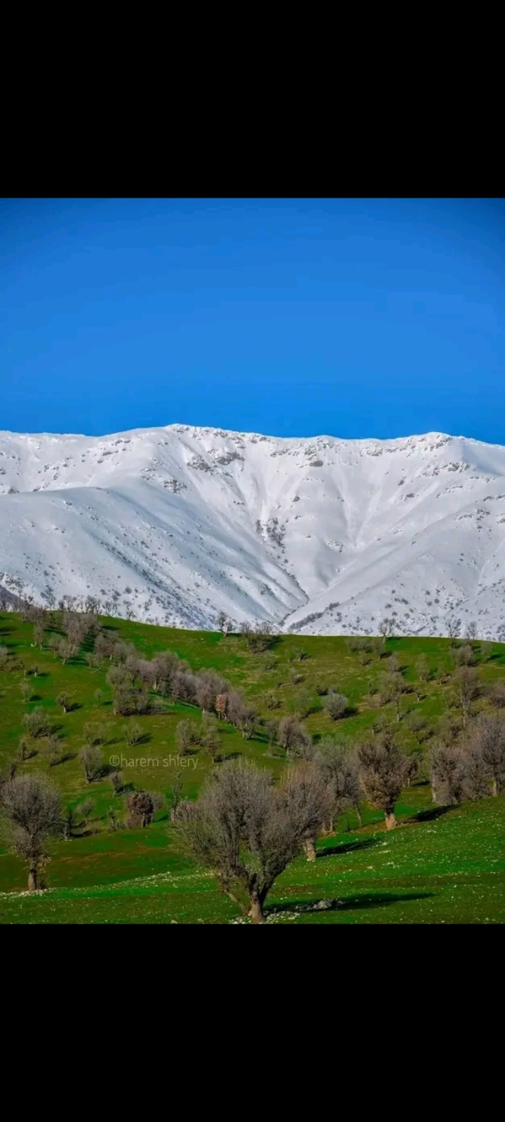 ��� ������