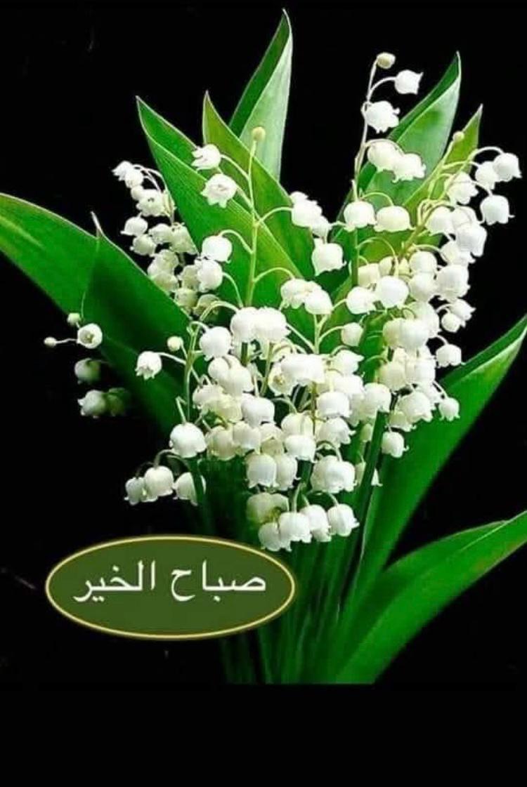 ���� �����_k8igL