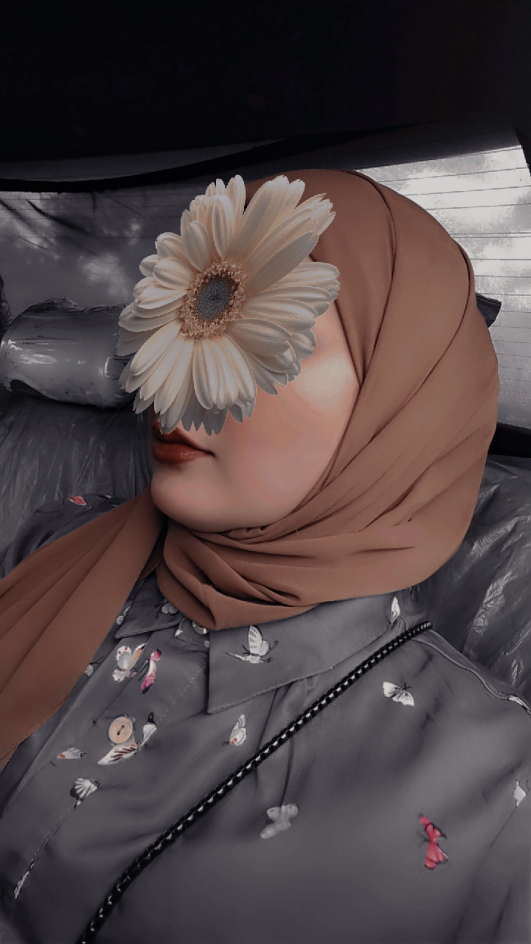 ���� �����_A3jjR