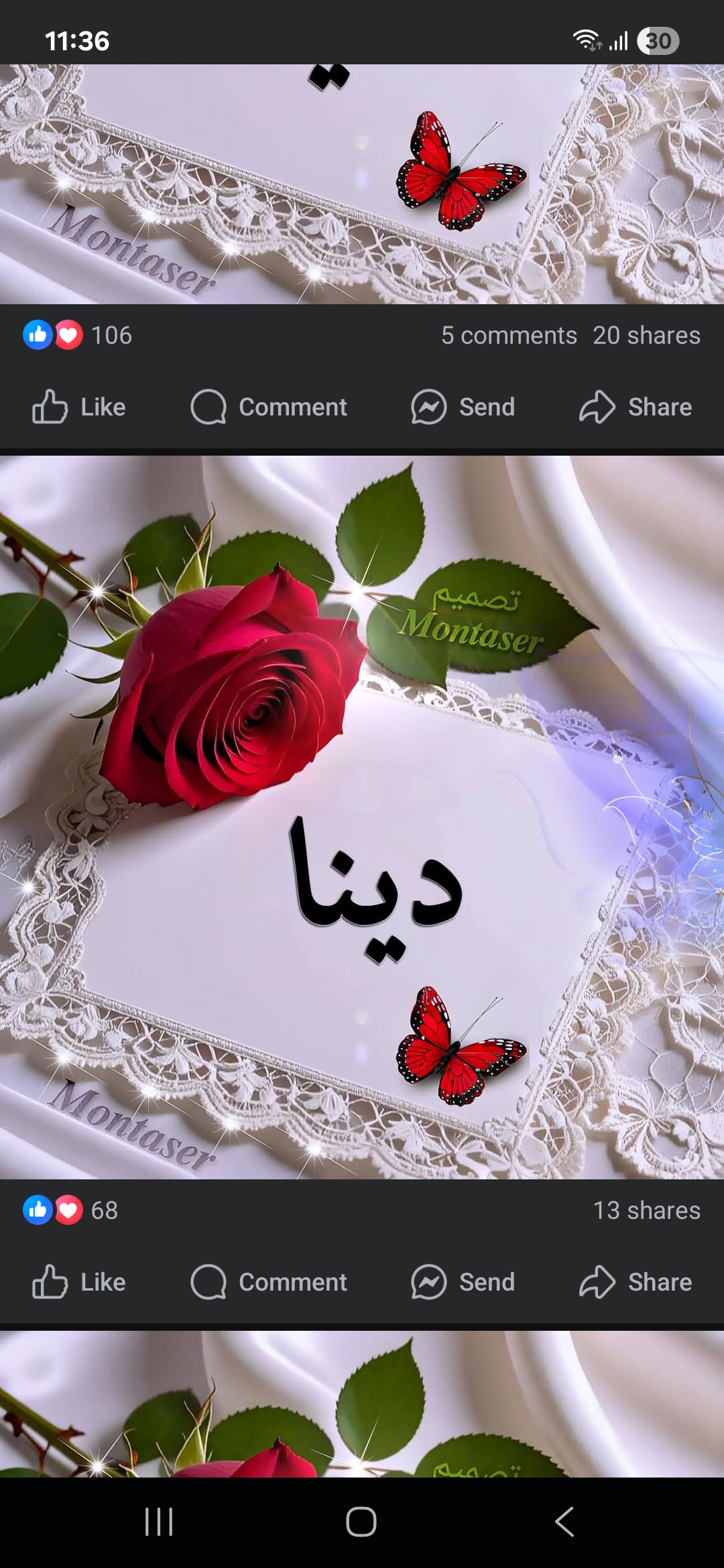 Rasha_Zf2u4